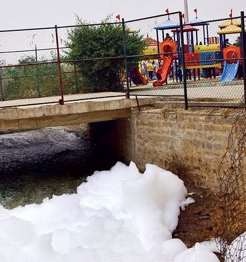 Kaggadaspura lake froths near a children’s park on Sunday | ajith m s
