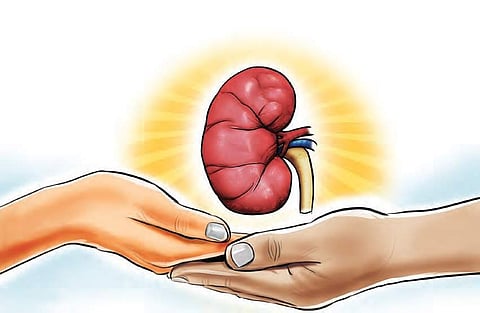 Despite testing positive in kidney screening, many skip second test