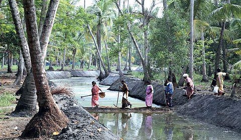 The photo series ‘Chronicles of Disappearance’ on the Kodungalloor ponds and the women associated with cleaning them
