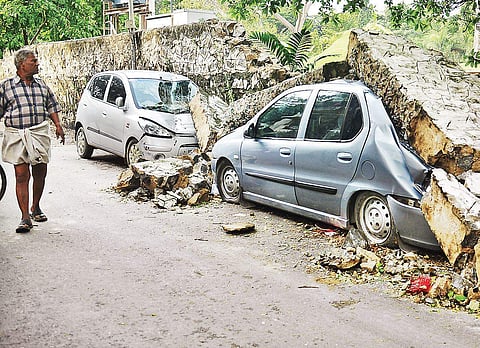 Two cars damaged as wall of Semmozhi Poonga collapses