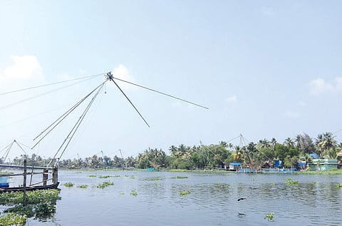 The bleak Pizhala outlook