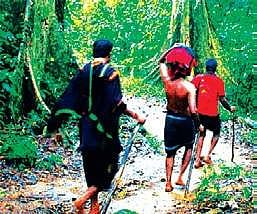 Ahead of Sabarimala season, inadequate facilities await pilgrims