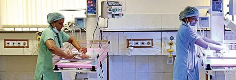 Newborn babies being taken care of at Hajee Sir Ismail Sait Gosha Hospital in Shivajinagar | Vinod Kumar T