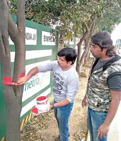 Tree Panel members and volunteers have joined hands to save 115 trees on Hope Farm Road. They rue indifference by local residents | express