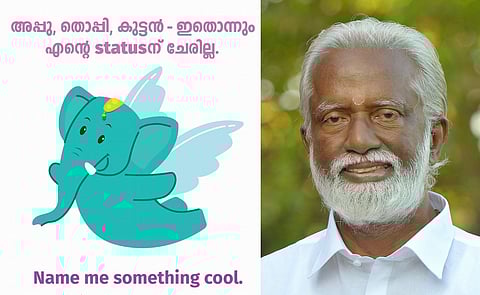 Kochi Metro asks netizens to name its Mascot, Malayalees call it 'Kummanana'.