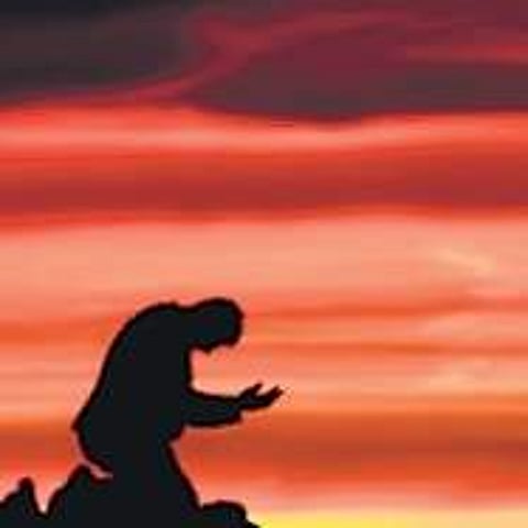 Success and defeat are prasad