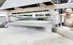 ISMA bats for lower duties for Indian sugar in Sri Lanka, Bangladesh