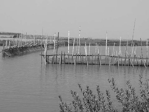 Local fishermen resent fencing in water bodies