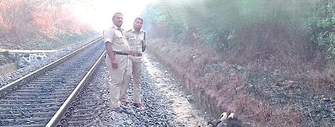 The MoEF has come out with clarifications and new guidelines that will be applicable for new rail track and gauge conversion projects