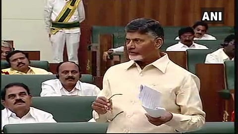Andhra Pradesh CM N Chandrababu Naidu (Photo | ANI)