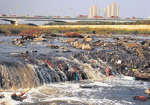 Money down the drain: Clean Yamuna plan still stuck in the pipelines