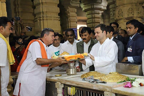 Congress President Rahul Gandhi seeks blessings at the Somnath Temple in Gujarat (Twitter Photo | INCIndia)