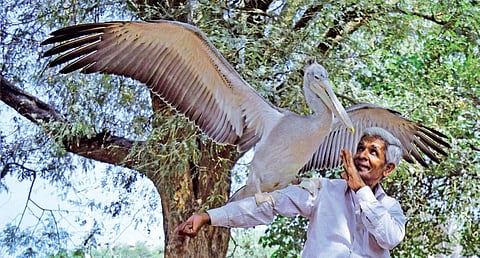 Farmer Linge Gowda; Photo: G Chidananda