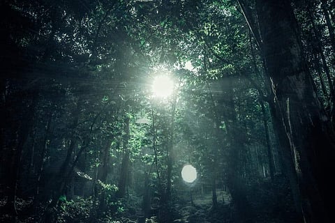 Image for representational purpose only