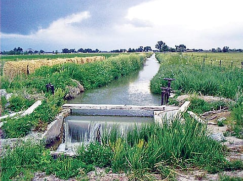 Representational Image.