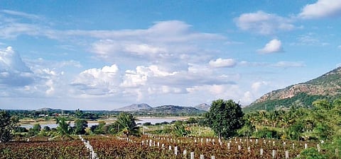 Are your holidays red and white yet?