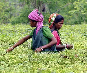 Im age used for representational purpose. (File photo / Reuters)