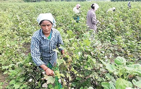 Image used for representational purpose. (File photo)