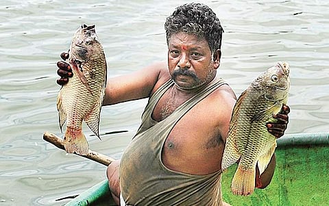 Image used for representational purpose