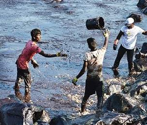 Ripples of oil spill reach Neelankarai