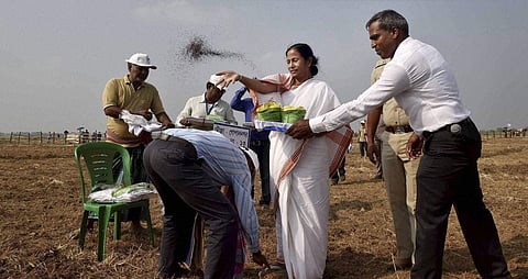 West Bengal Chief Minister Mamata Banerjee sowing seeds at a plot handed over to farmers in Singur, on October 20, 2016.