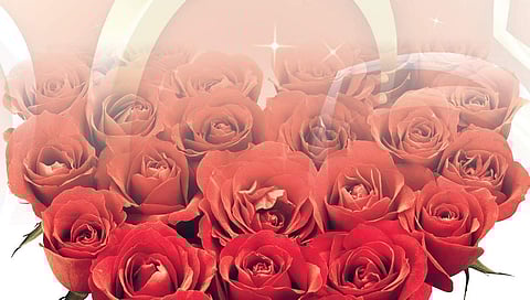 As Valentine's day rolls around, try these gift/date ideas