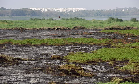Belandur Lake Followup in Bengaluru on Friday which caught fire .(Vinod Kumar.T |EPS)