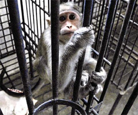 Image for representational purpose only