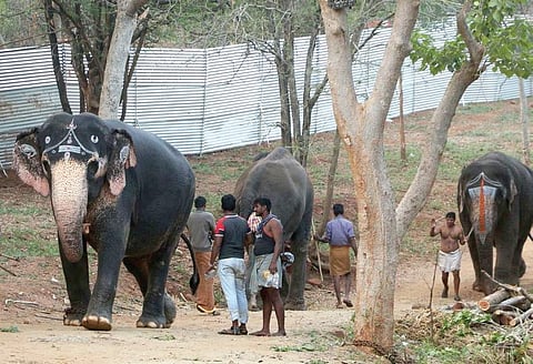 Image for representational purpose only.