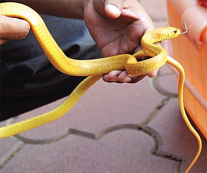 Image used for representational purpose only