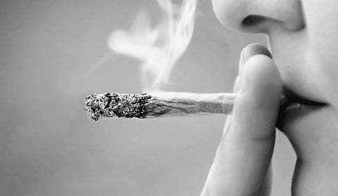 Cannabis or weed can cause psychosis