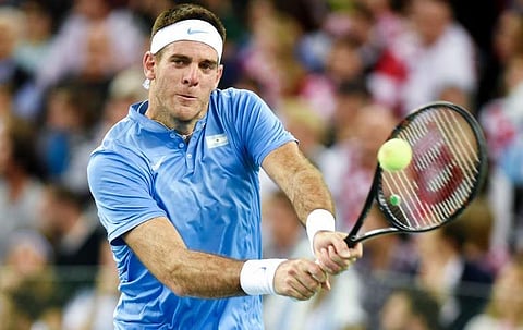 2009 US Open champion Juan Martin Del Potro (File | APF)