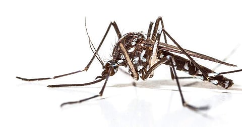 Image used for representational purpose only