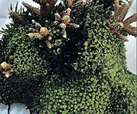 Image for representation only.