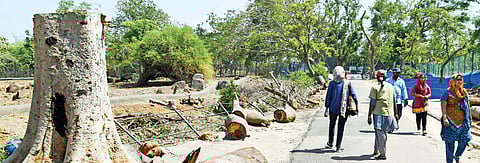 Vanalur zoo. (EPS | Martin Louis)