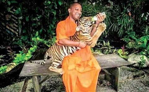 New Uttar Pradesh Chief Minister Yogi Adityanath. | File Photo