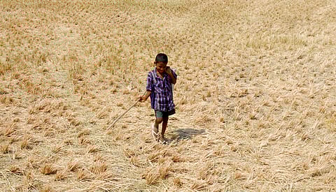 Image used for representational purpose only