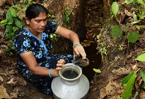 Suma Nayak collecting potable water from a suranga at Thotadamane near Sheni in Enmakaje panchayat. Six families used to depend on the suranga till five summers ago, she says | Albin Mathew