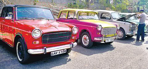 Fiat 1100s lined up at a club meeting in Lal Bagh Pushkar V