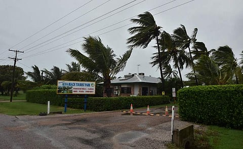 Palm trees blow in the wind in the town of Ayr in far north Queensland as Cyclone Debbie approaches on March 28, 2017. AFP