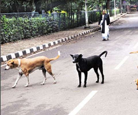 Image used for representational purpose.