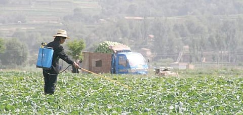 Need compassion to nourish mother earth