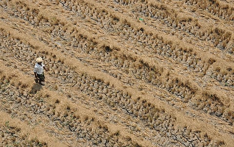 EPS file image used for representational purpose only