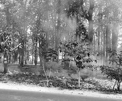 Forest fire near Gadapadar under Jeypore range | Express