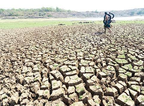 Image for representational purpose only. (File Photo | EPS)