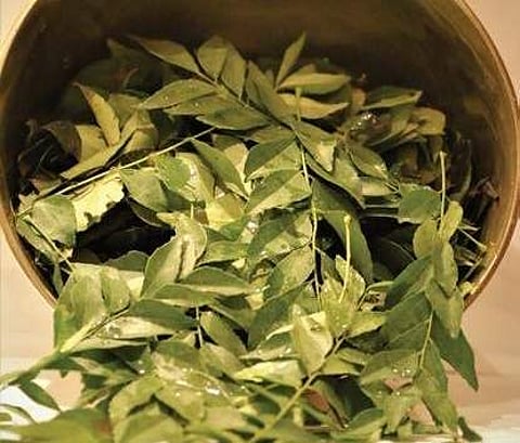 Image for representational purpose only.