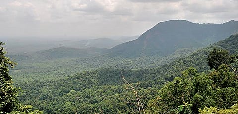 File Photo of the Western Ghats.