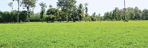 Farmer C Subramanian who refused to give land for ONGC exploration