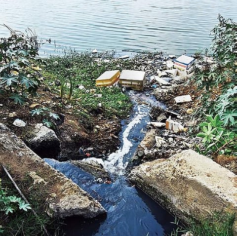 Sewage entering the lake | Ashwin Prasath