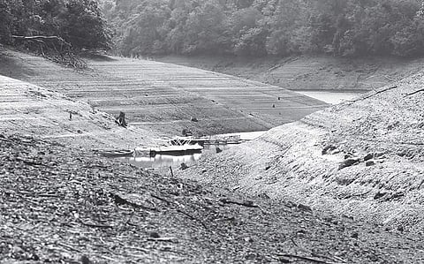 Alarming dip in water levels in dams in the state